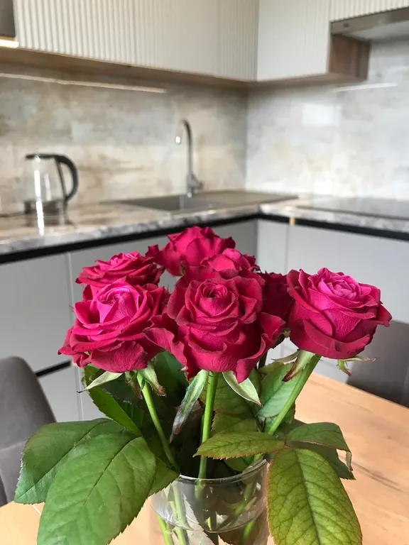 Уютная квартира с видом на Эльбрус