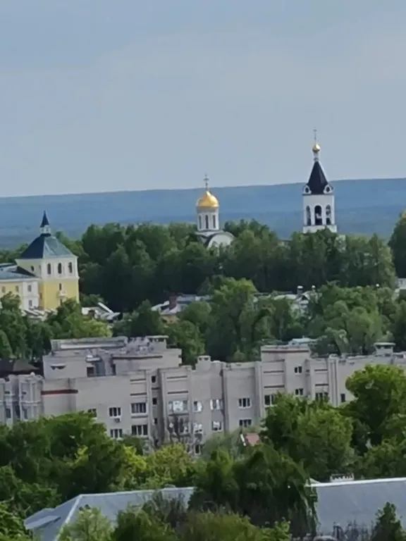 С видом на Успенский, бесконтактное заселение
