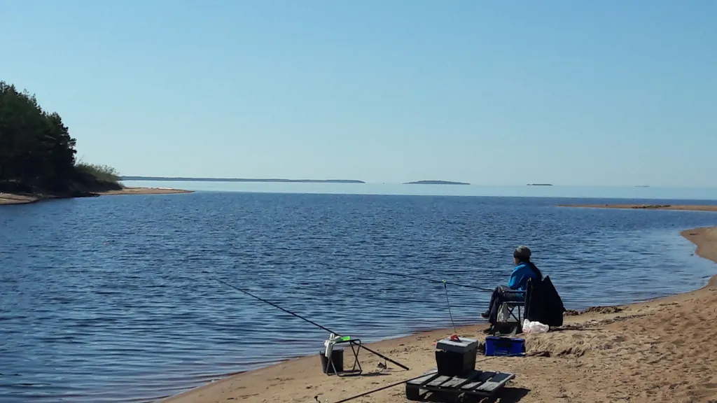 Гостевой дом у Ладожского озера