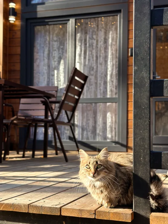 Коттедж Дом с террасой в лесу рядом с речкой — Архыз