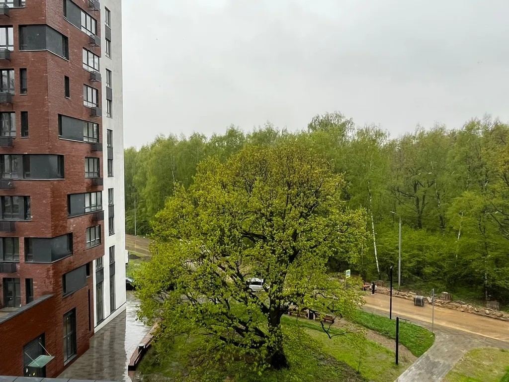 Квартира Квартира Шикарная студия в Прокшино — Москва