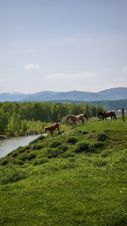 Современный 2-комнатный дом на слиянии рек Тихий берег