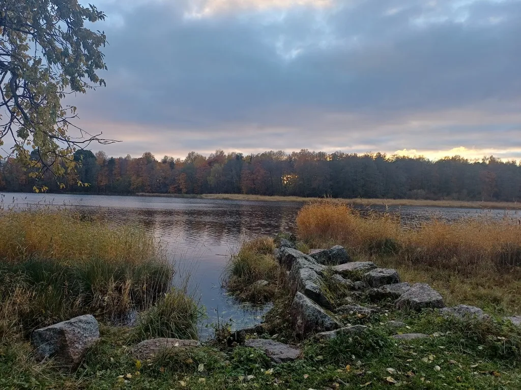 Сауналахти - мини-домик на берегу Банного залива