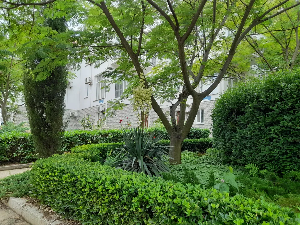 Квартира Видовые просторные апартаменты Манго у моря Учкуевка — Севастополь