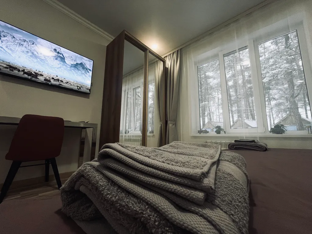 Уютная квартира в сосновом лесу