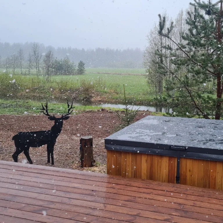 Домик в лесу Хатка бобра