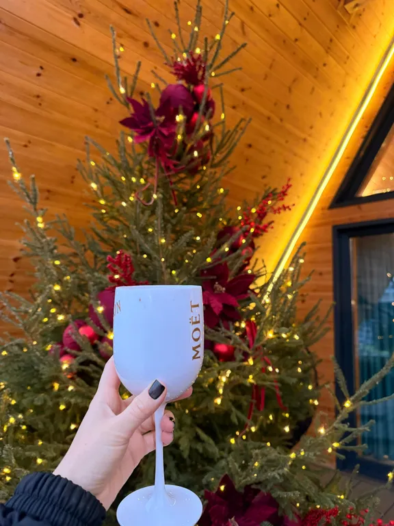 Дом с баней и чаном