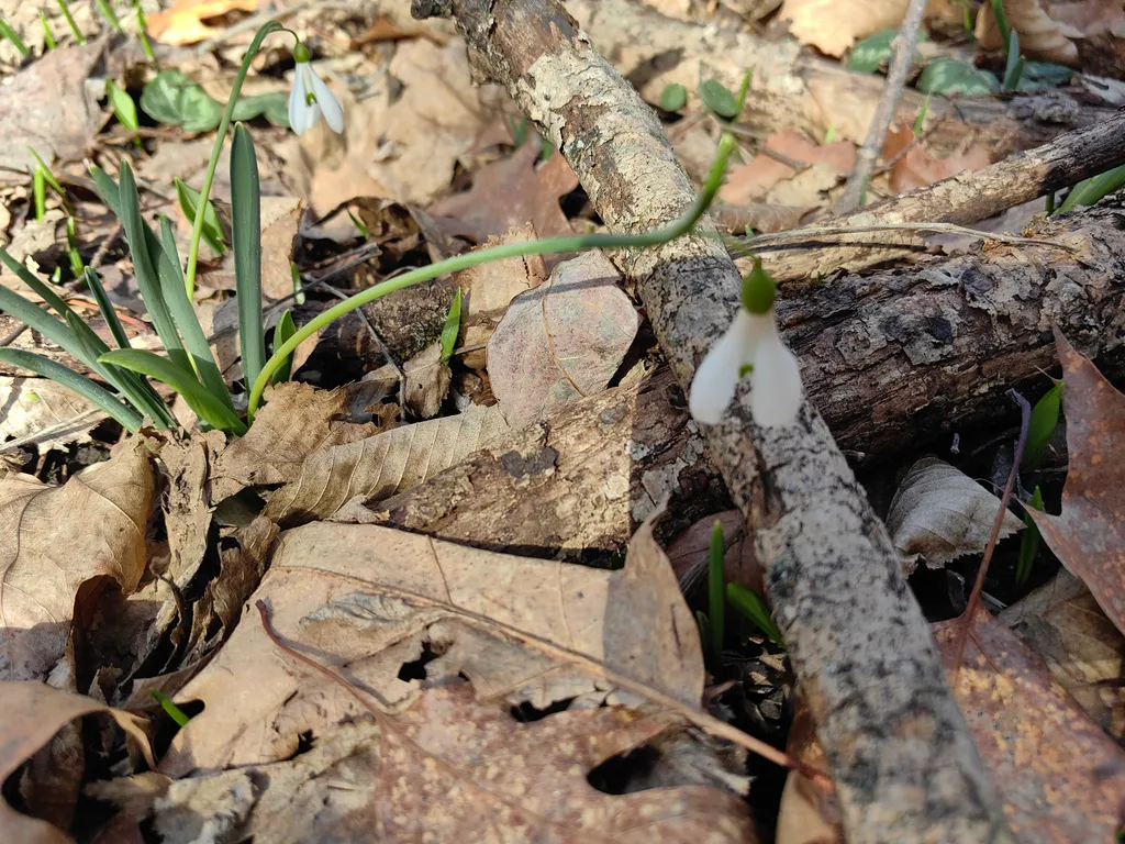 Коттедж Восстанавливающий отдых на природе в Горах Адыгеи — Веселый