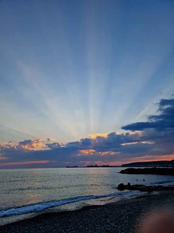 Комната в доме в лесу у моря