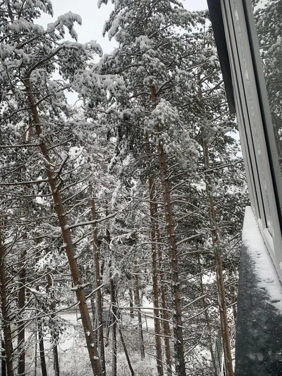 Новая квартира в Терсколе