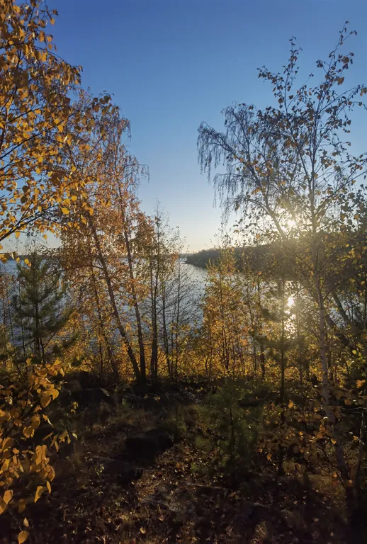 Шале с панорамными окнами и видом на озеро Чебаркуль