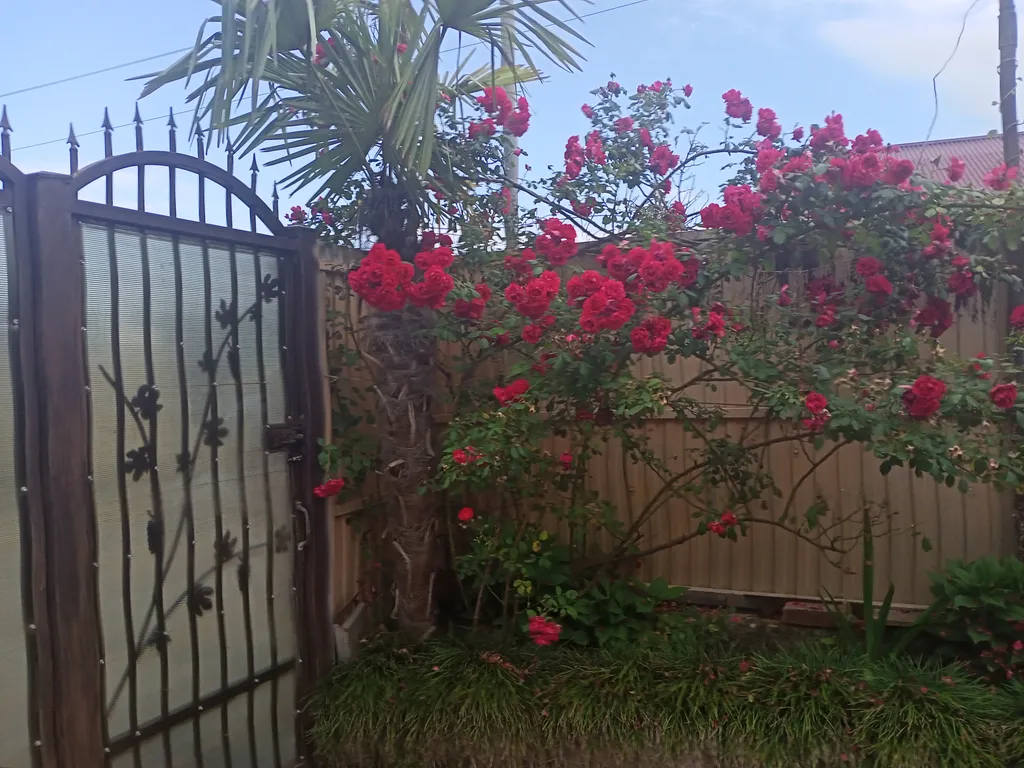 Комфортный дом