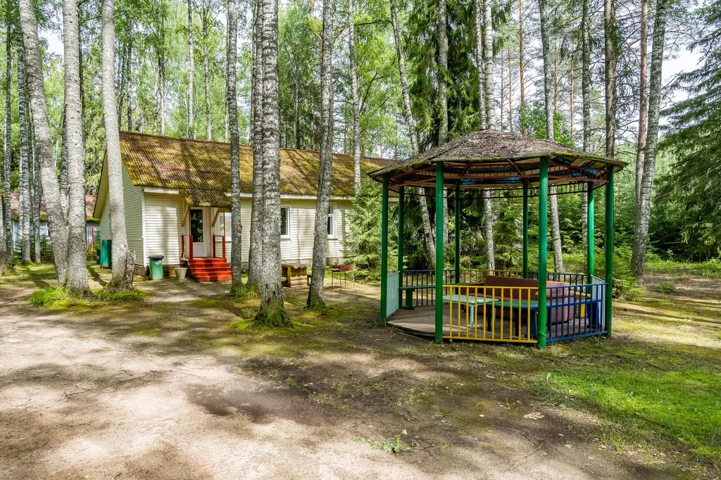 Коттедж 1-комнатный Дом — Луга