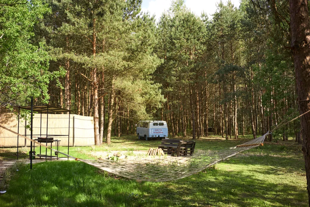 Дом в лесу: баня, купель, проектор, камин, озеро, велосипеды