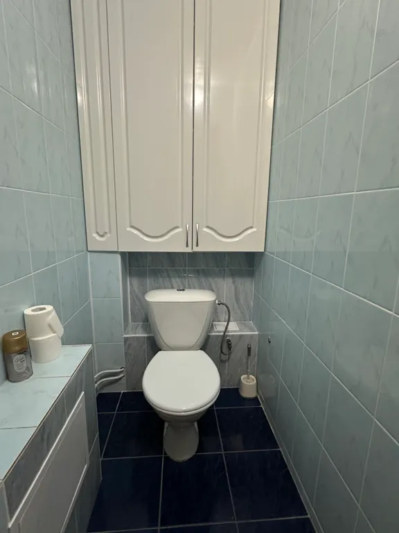 Квартира вблизи набережной, центр