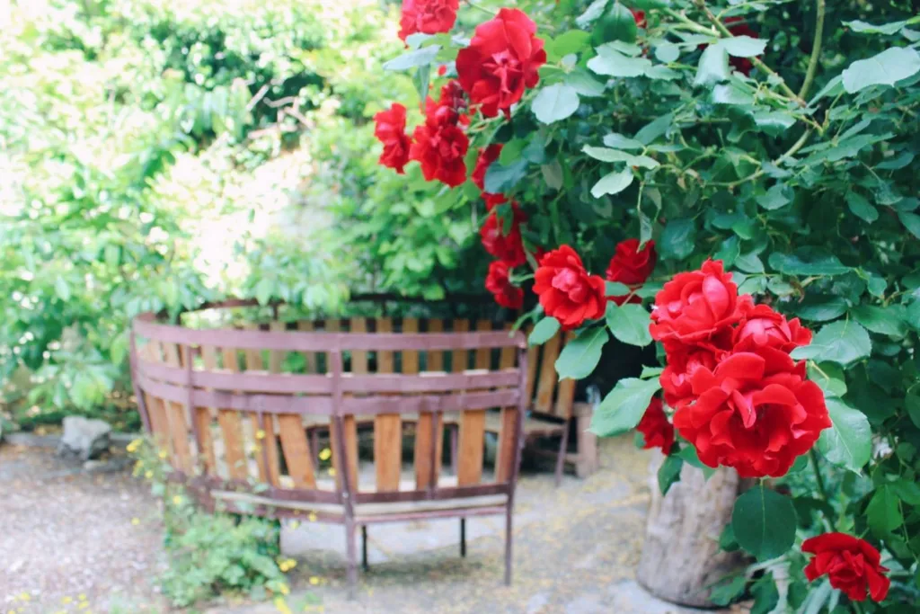 Просторная квартира с бесплатной стоянкой