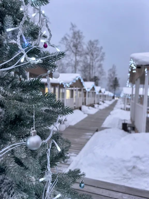 Дом Стандарт