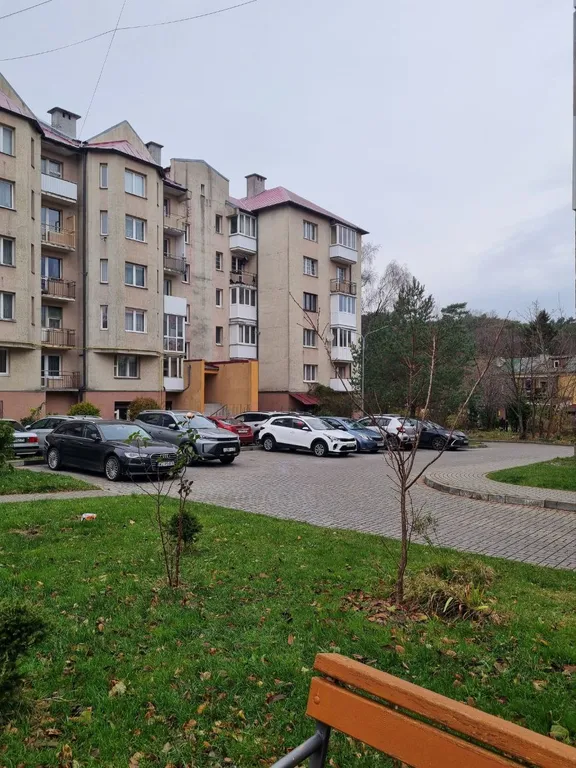 Квартира с видом на сосны