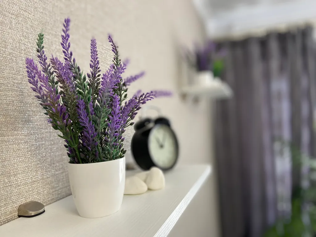 Комфортная квартира в центре