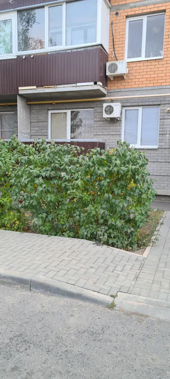 Уютная квартира — аренда посуточно в Волжский