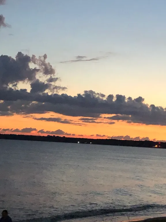 Квартира Уютная квартира с видом в парк — Сириус