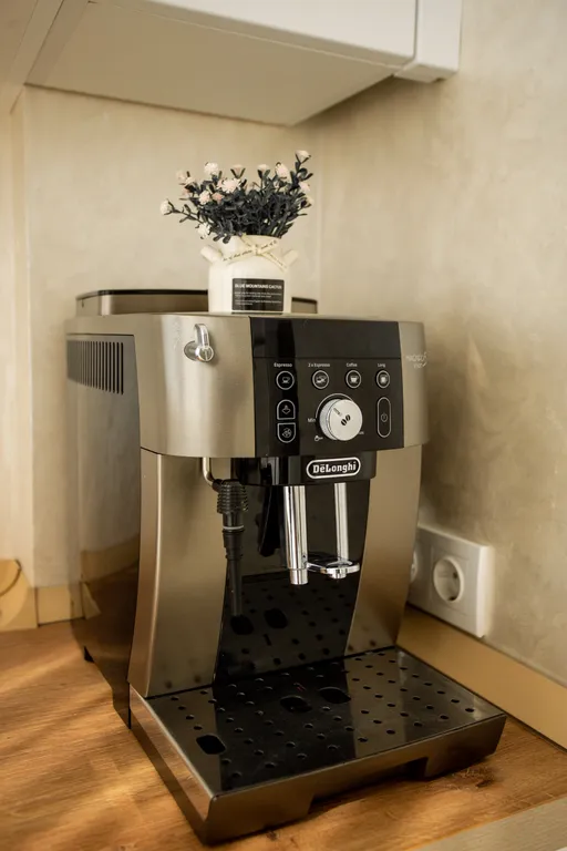 Квартира Уютная квартира с велосипедами  и большой террасой у Балтийского моря — Светлогорск