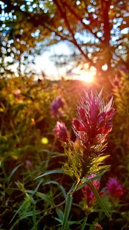 Барн-хаус | 4+1 гость | Лес, горная река, полное уединение