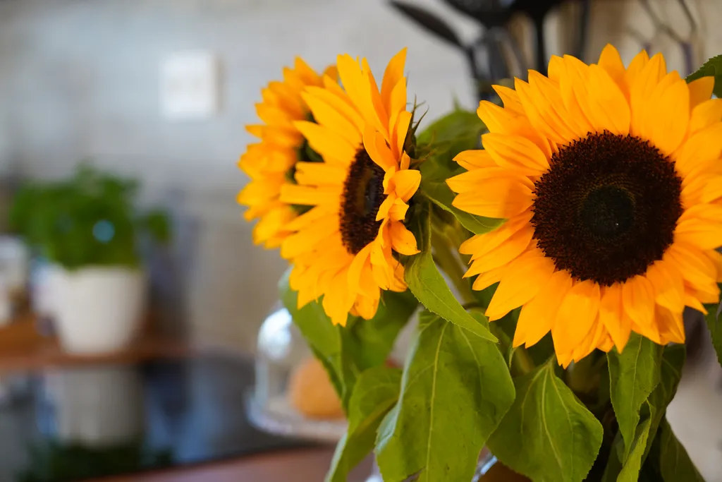 Просторная студия в зелёном тихом районе