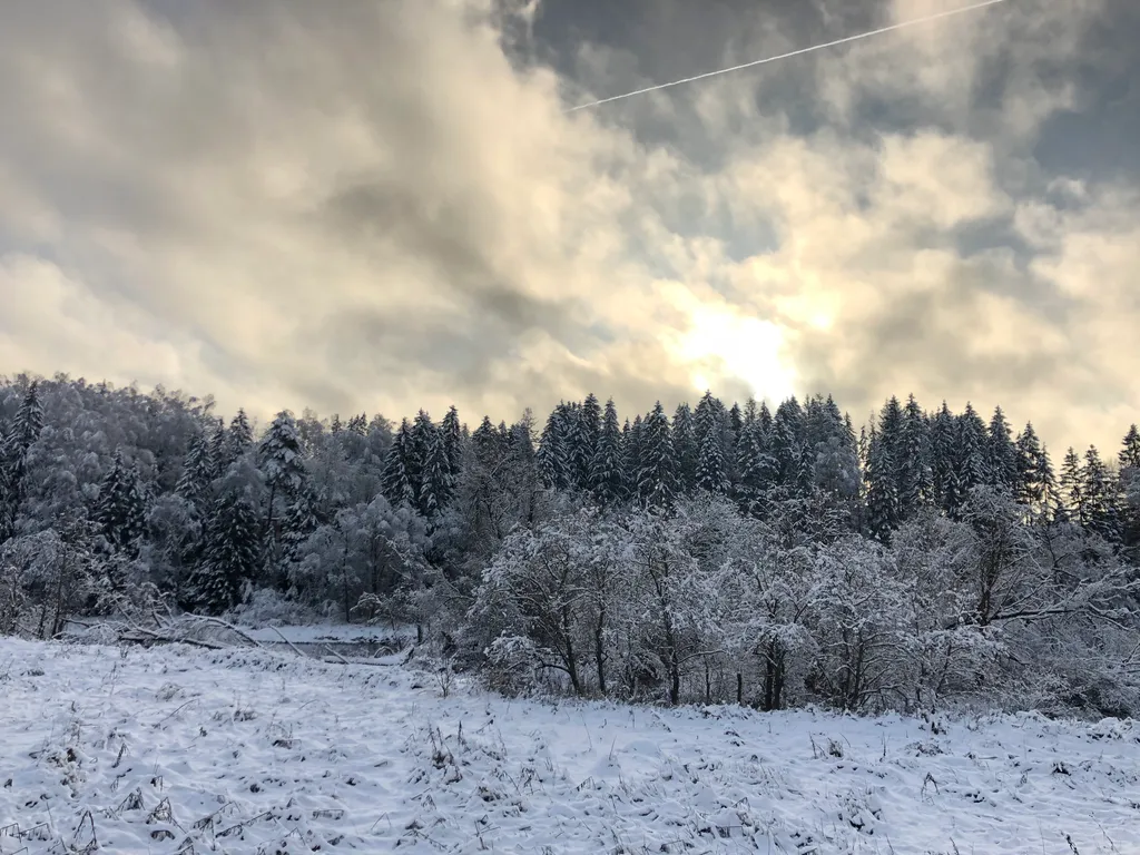 Коттедж Дом на прилесном участке в окружении реки — Горки