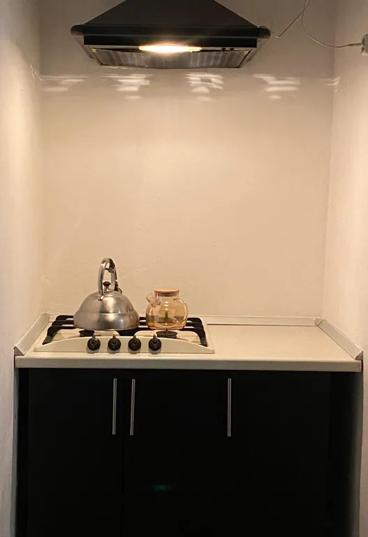 Самый центр - квартира в парковой зоне