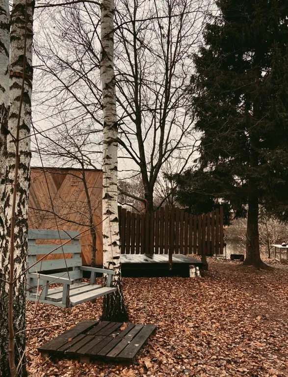 Чудо-дача, дом Акула на берегу пруда