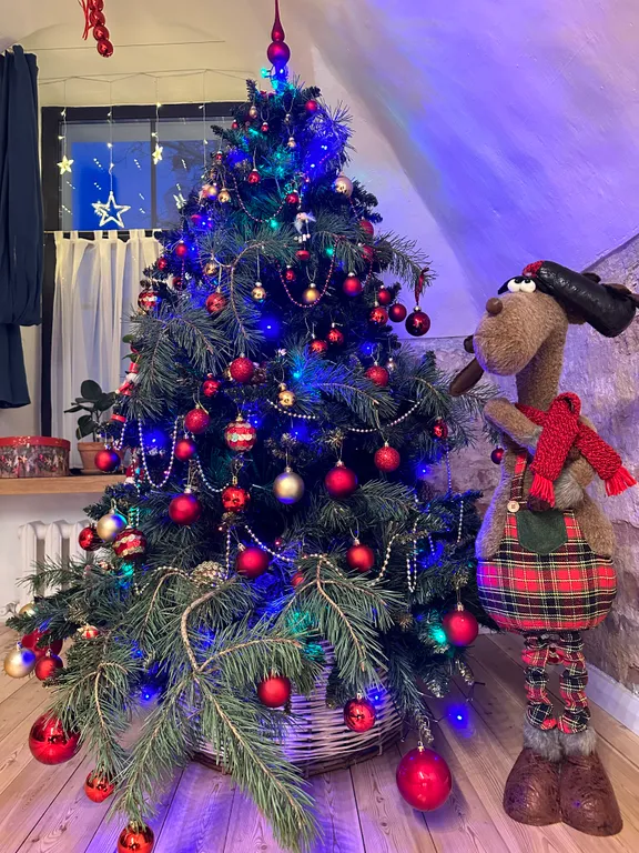 Апартаменты кельи Авраамийского монастыря