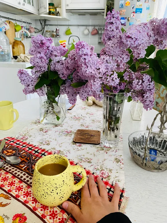 Комната в уютной квартире с хозяйкой