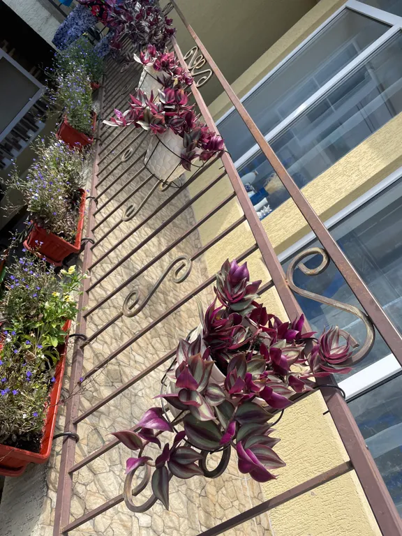 Квартира Квартира Номер с двумя кроватями — Анапа