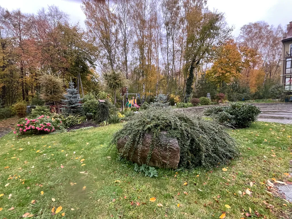 Квартира Квартира Янтарная долина — Светлогорск
