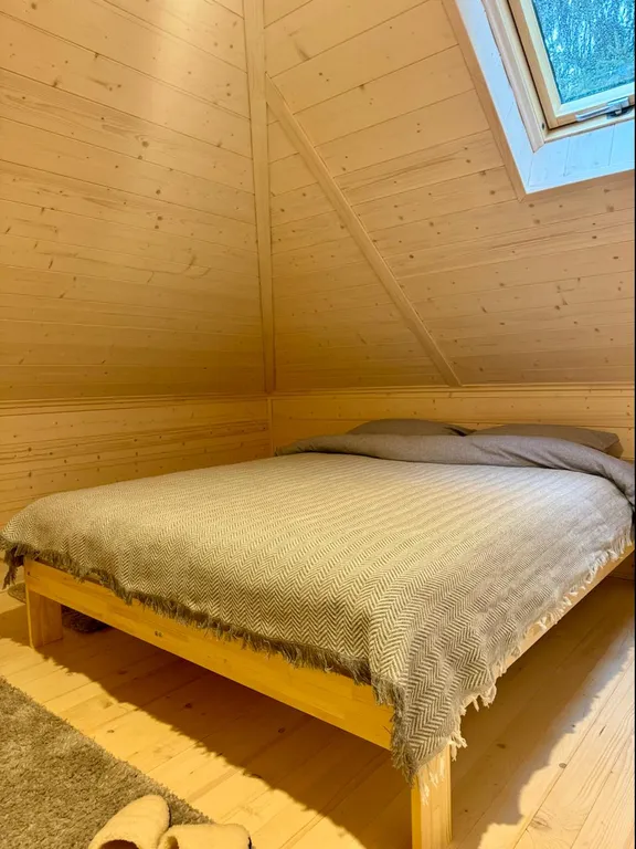 Дом с чаном и сауной в лесу