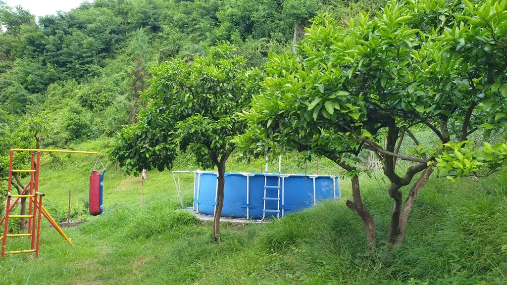 Квартира Апартаменты люкс в тихом месте недалеко от центра — Сухум