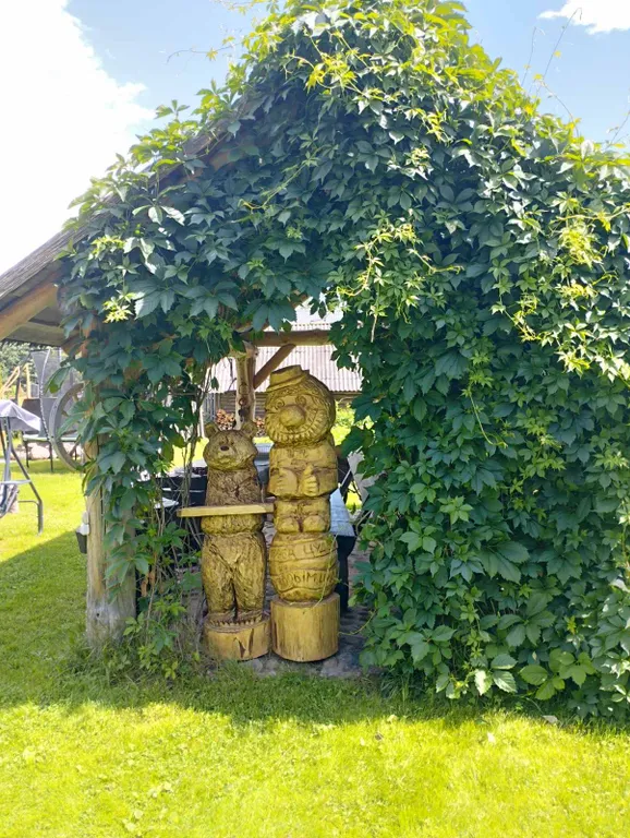 Домик для отдыха на Нарочи