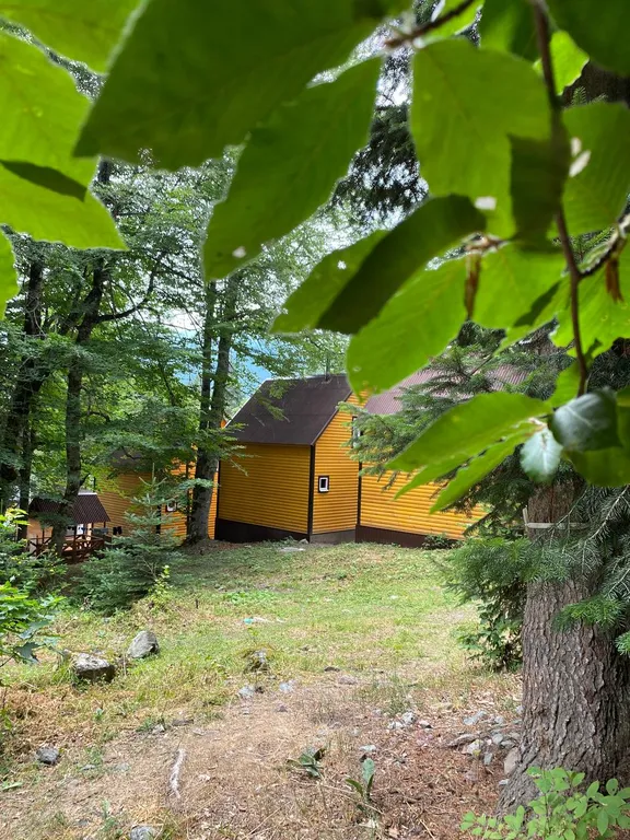 Коттедж 3-комнатный Дом — Архыз