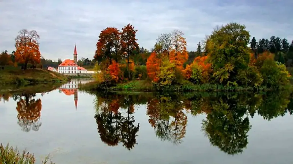 Предлагаем изящную студию