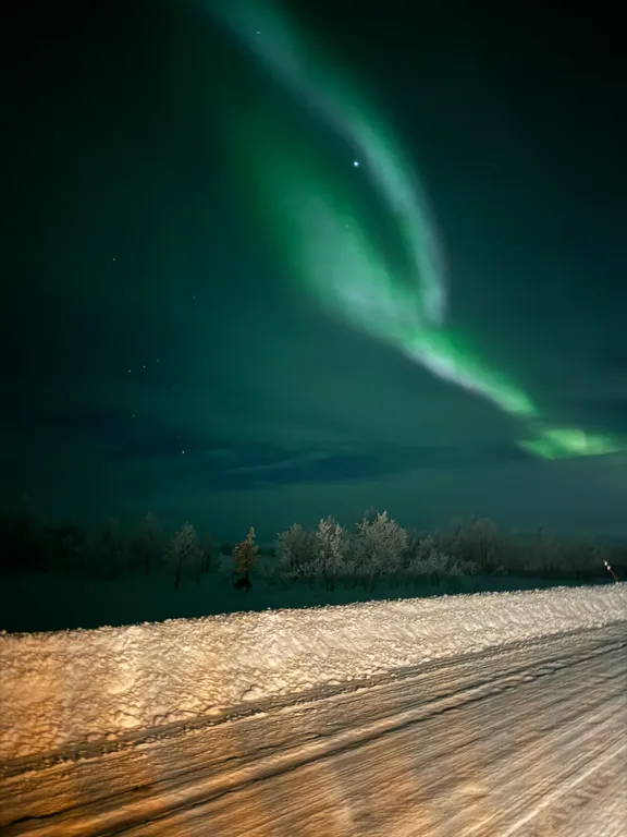 Шикарный апартамент