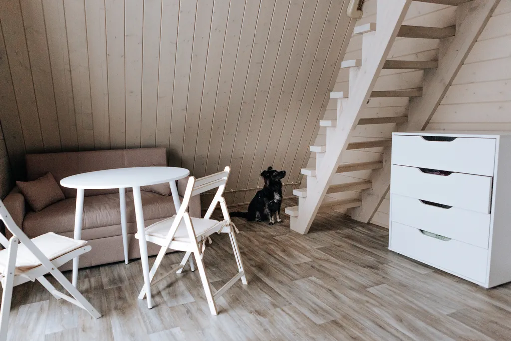 Стильный домик для отдыха с питомцем