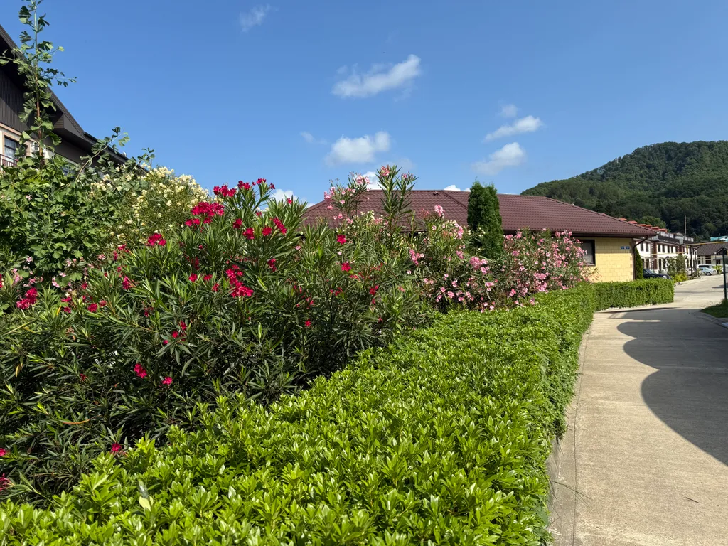 Коттедж Таунхаус рядом с морем — Сочи