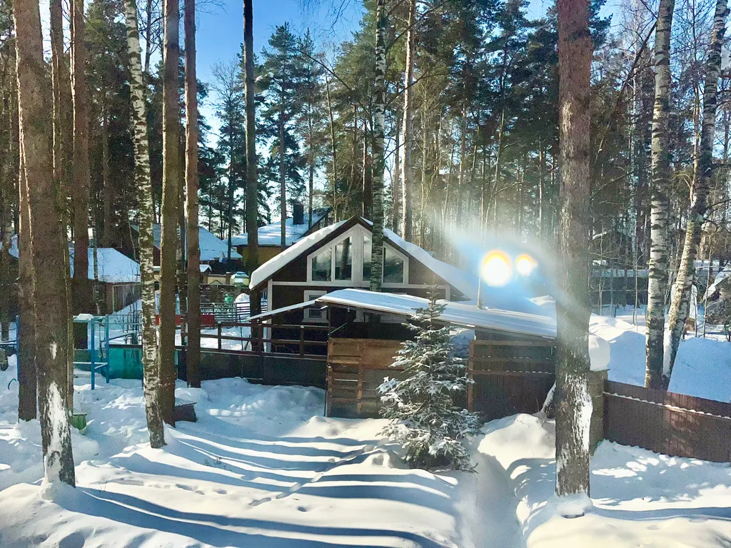 Уютный дом с гусями