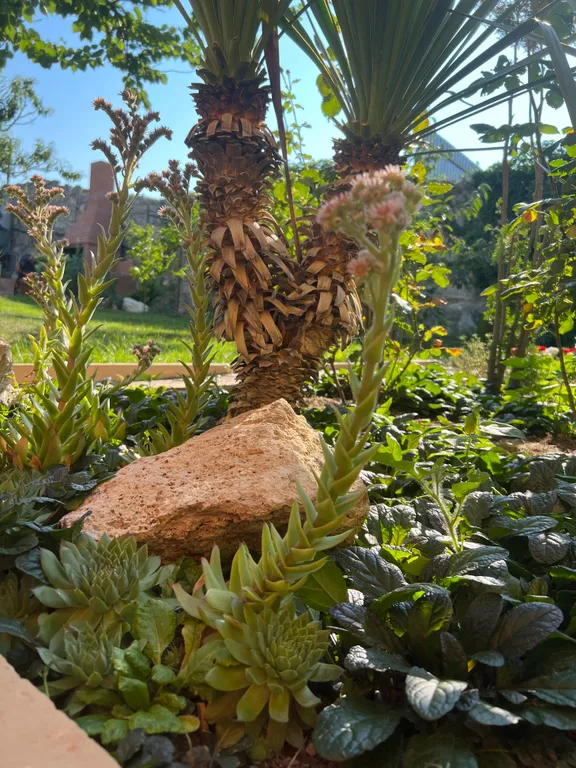 Гостевой дом Вилла Гармония