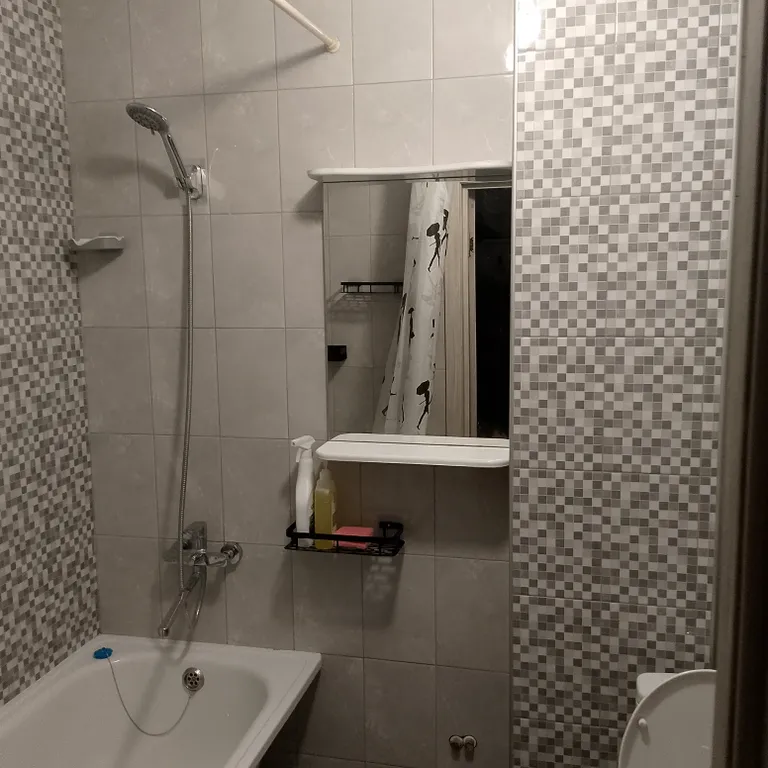 Уютная однокомнатная квартира в центре