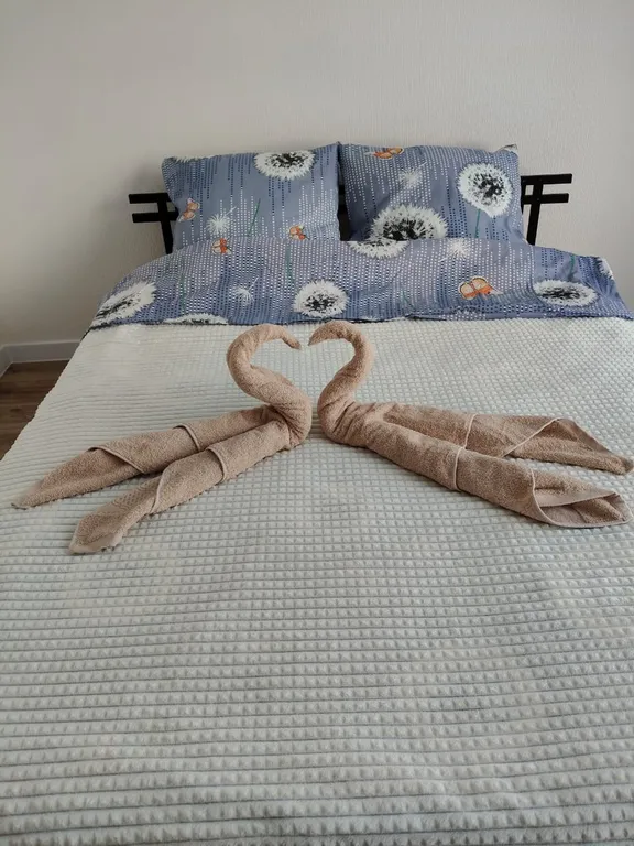 Квартира Видовая студия с дизайнерским ремонтом — аренда посуточно в Ульяновск