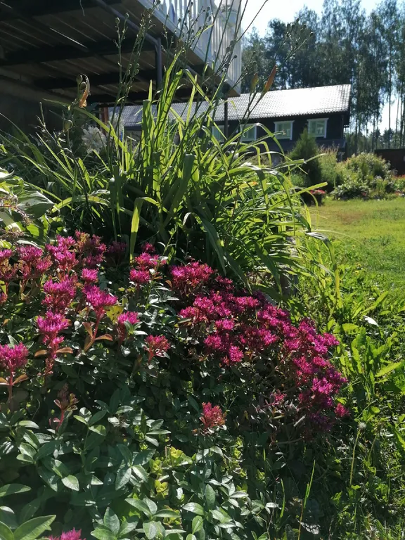 Уютные апартаменты на берегу живописной реки