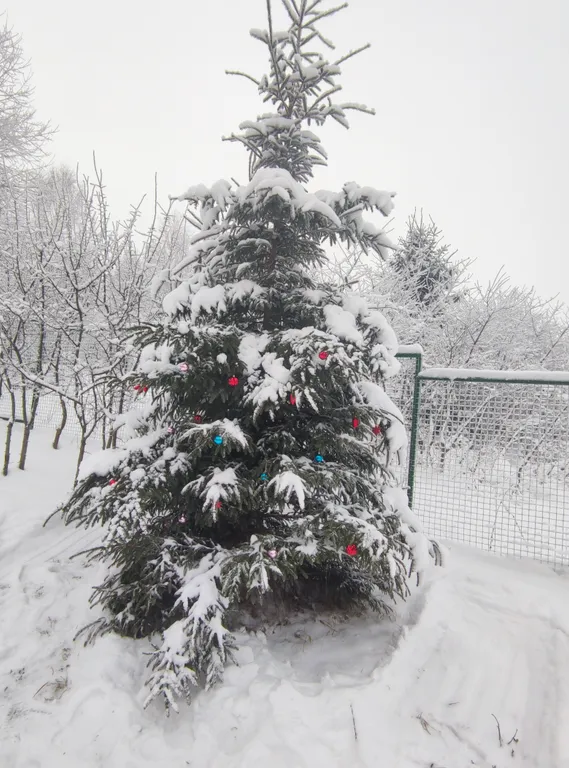 Дом-сауна с лёгким паром