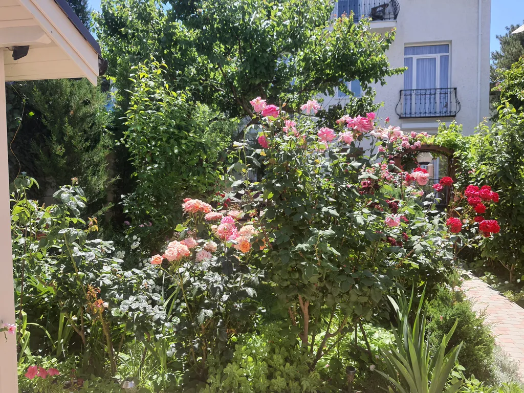 Квартира Квартира Частный дом Белый парус в Учкуевке — Севастополь